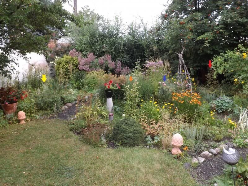  photo 9713012_zps3c585c65.jpg